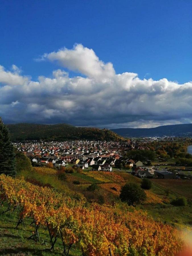 Ferienwohnung Familie Buchner Großheubach 外观 照片