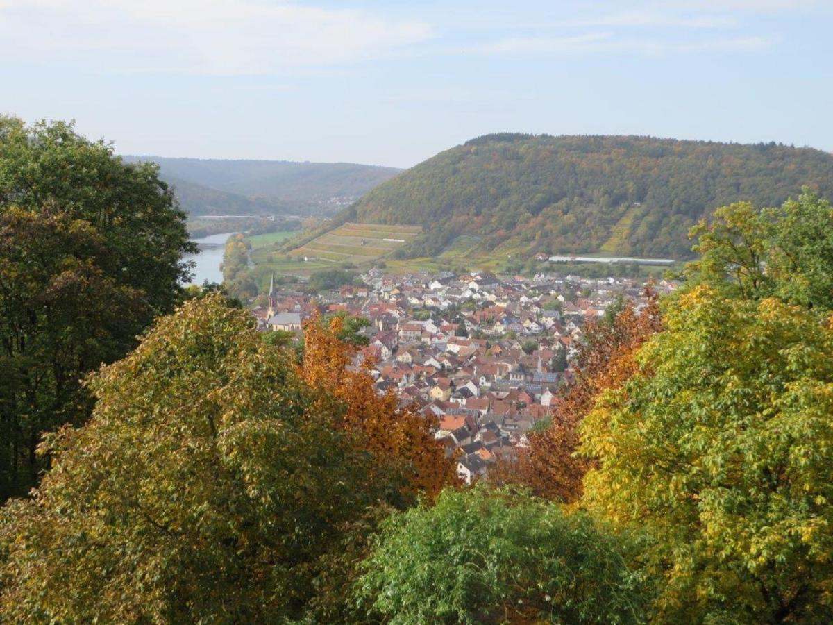 Ferienwohnung Familie Buchner Großheubach 外观 照片